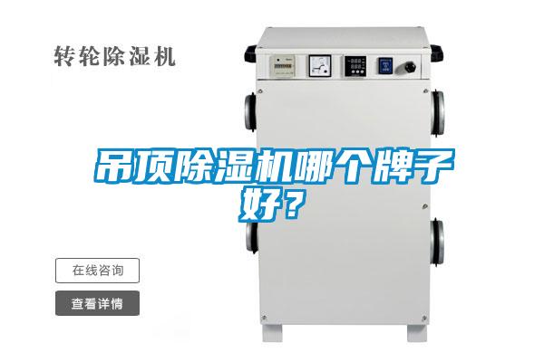 吊顶麻豆视频黄网站哪个牌子好？