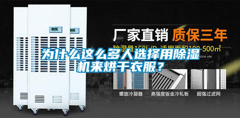 为什么这么多人选择用麻豆视频黄网站来烘干衣服？