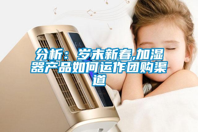 分析：岁末新春,加湿器产品如何运作团购渠道