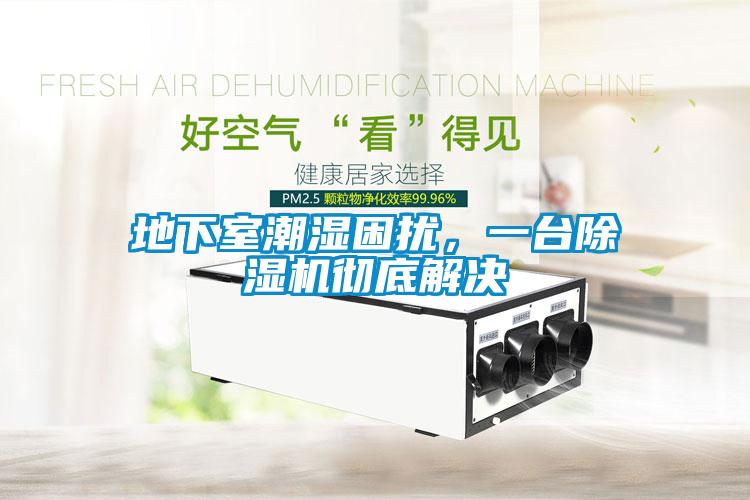 地下室潮湿困扰，一台麻豆视频黄网站彻底解决