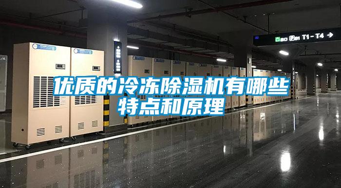 优质的冷冻麻豆视频黄网站有哪些特点和原理