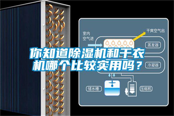 你知道麻豆视频黄网站和干衣机哪个比较实用吗？