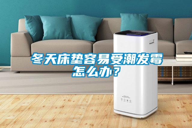 冬天床垫容易受潮发霉怎么办？
