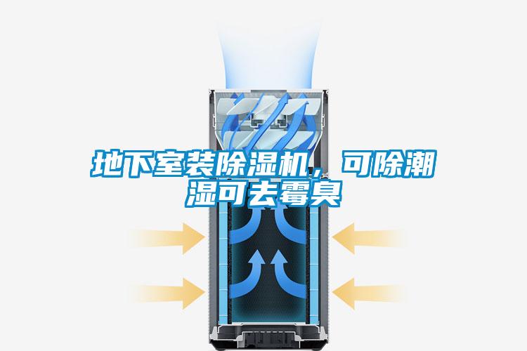 地下室装麻豆视频黄网站，可除潮湿可去霉臭