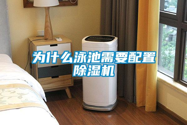 为什么泳池需要配置麻豆视频黄网站