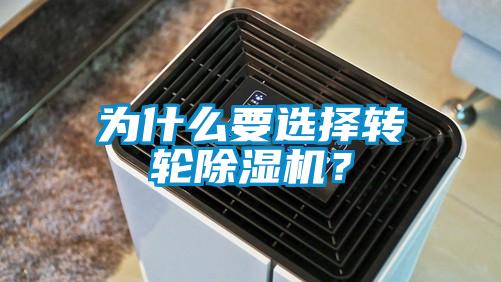 为什么要选择转轮麻豆视频黄网站？
