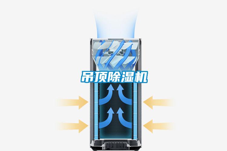 吊顶麻豆视频黄网站