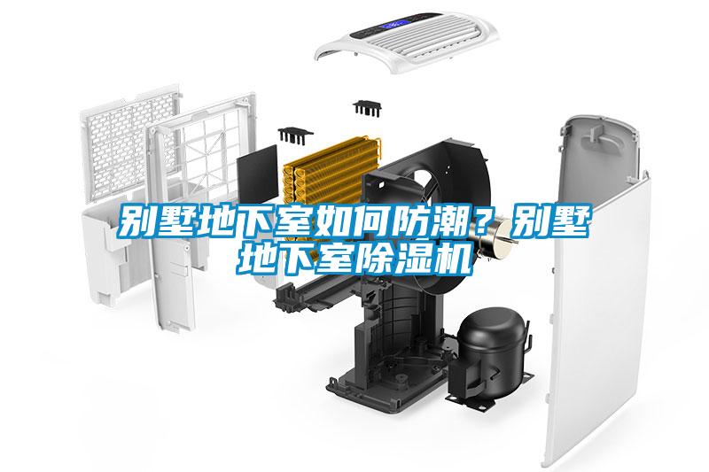别墅地下室如何防潮？别墅地下室麻豆视频黄网站