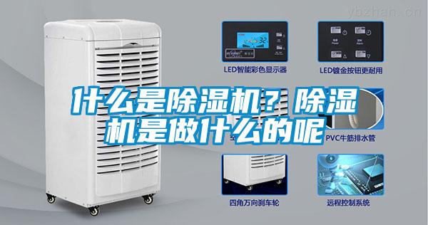 什么是麻豆视频黄网站？麻豆视频黄网站是做什么的呢