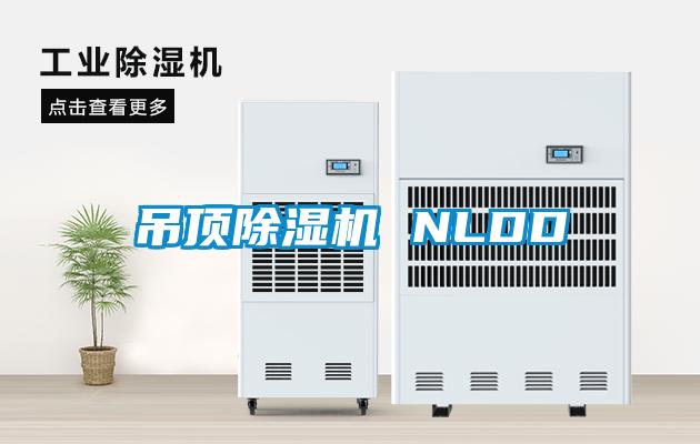 吊顶麻豆视频黄网站 NLDD