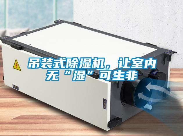 吊装式麻豆视频黄网站，让室内无“湿”可生非
