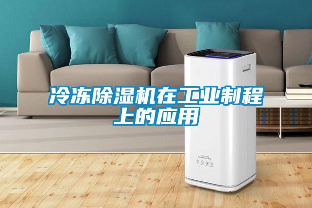 冷冻麻豆视频黄网站在工业制程上的应用