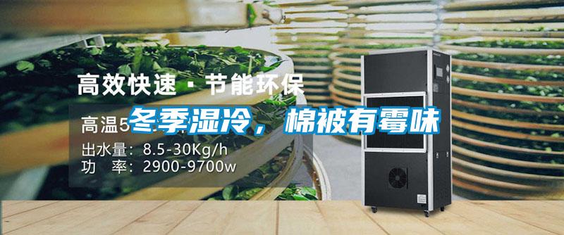 冬季湿冷，棉被有霉味