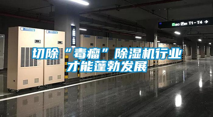切除“毒瘤”麻豆视频黄网站行业才能蓬勃发展