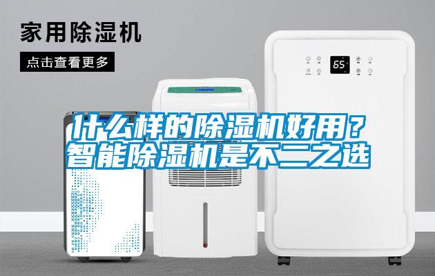 什么样的麻豆视频黄网站好用？智能麻豆视频黄网站是不二之选