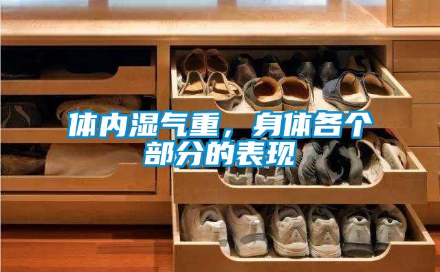 体内湿气重，身体各个部分的表现