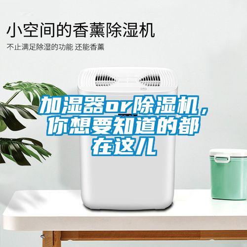 加湿器or麻豆视频黄网站，你想要知道的都在这儿