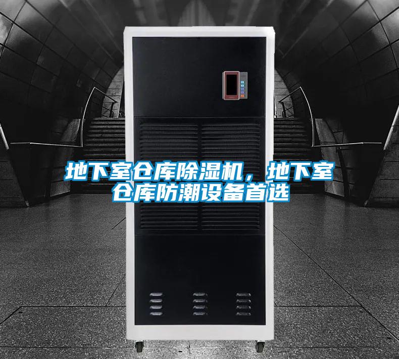 地下室仓库麻豆视频黄网站，地下室仓库防潮设备首选