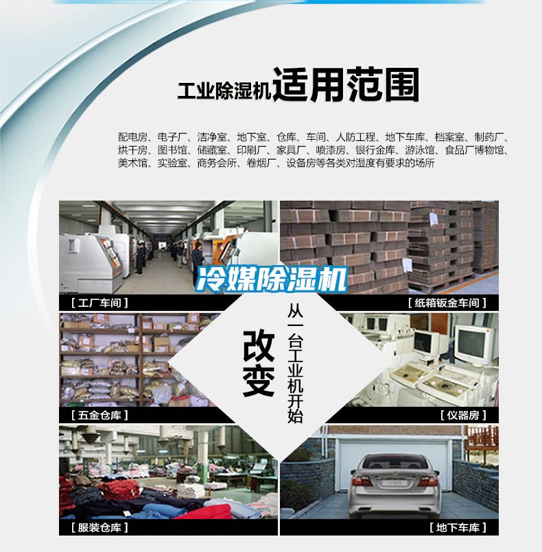 冷媒麻豆视频黄网站