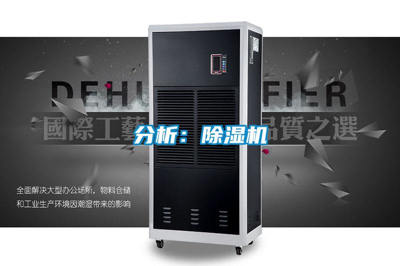 分析：麻豆视频黄网站