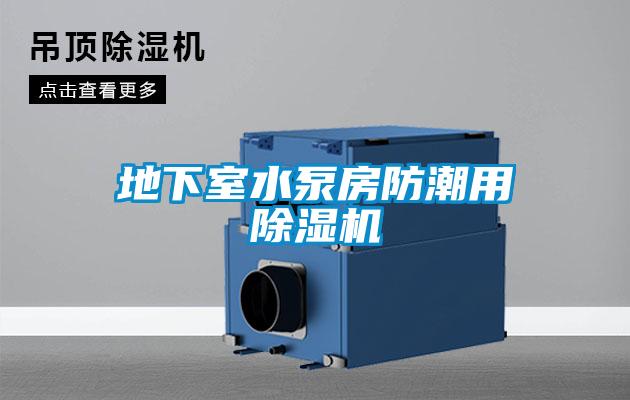 地下室水泵房防潮用麻豆视频黄网站