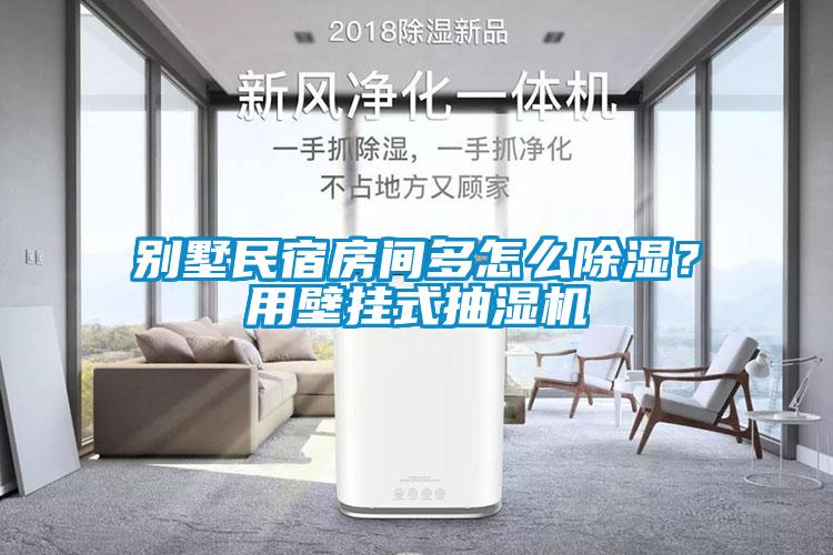 别墅民宿房间多怎么除湿？用壁挂式抽湿机