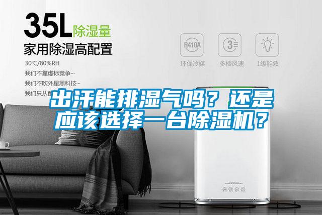 出汗能排湿气吗？还是应该选择一台麻豆视频黄网站？