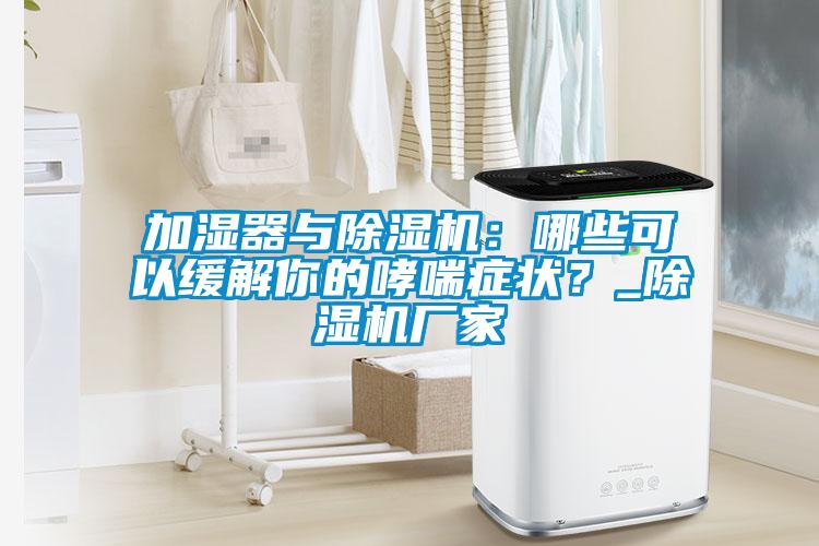 加湿器与麻豆视频黄网站：哪些可以缓解你的哮喘症状？_麻豆视频黄网站厂家