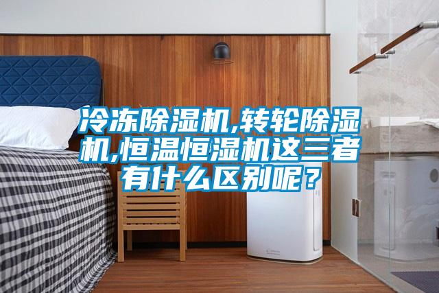 冷冻麻豆视频黄网站,转轮麻豆视频黄网站,恒温恒湿机这三者有什么区别呢?