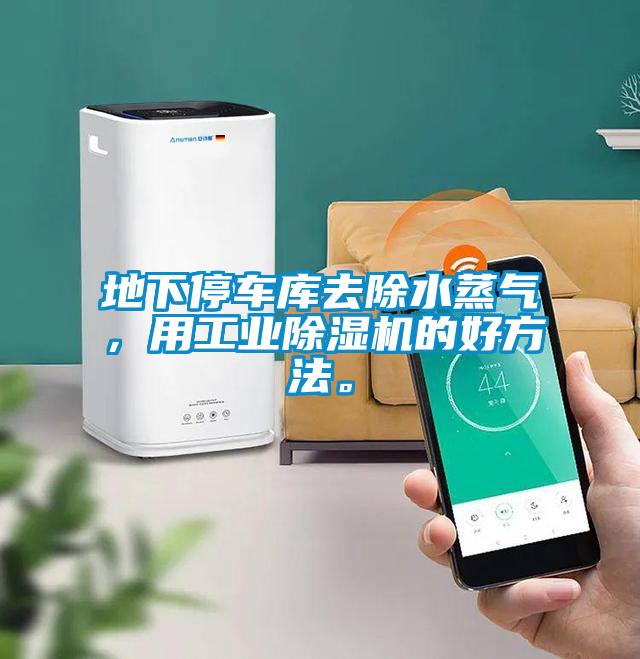地下停车库去除水蒸气，用工业麻豆视频黄网站的好方法。