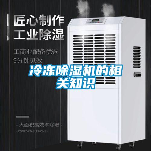 冷冻麻豆视频黄网站的相关知识