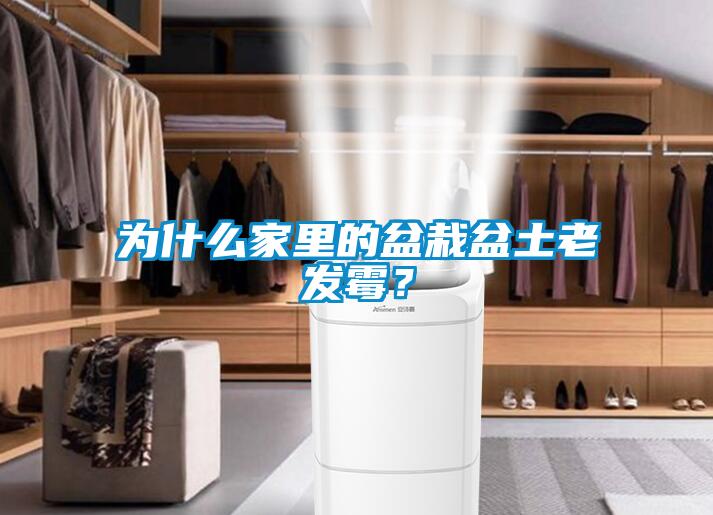 为什么家里的盆栽盆土老发霉？