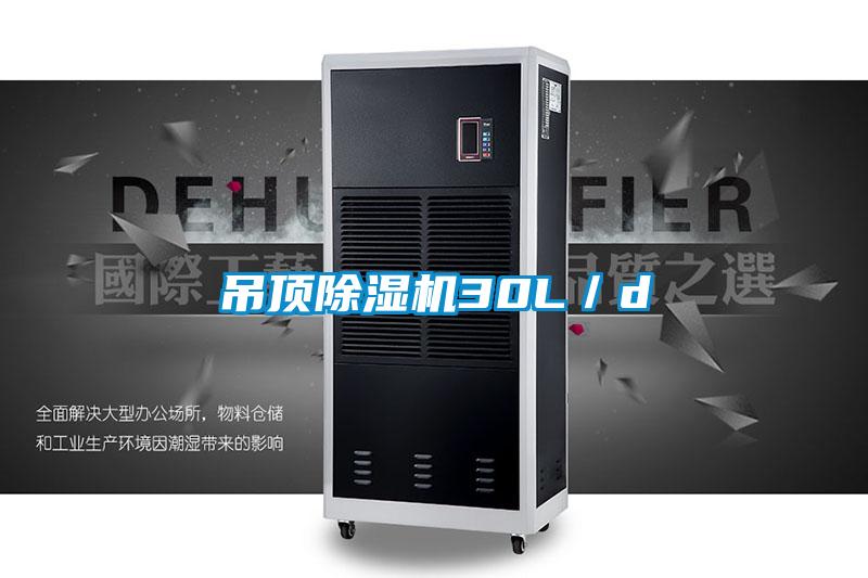 吊顶麻豆视频黄网站30L／d
