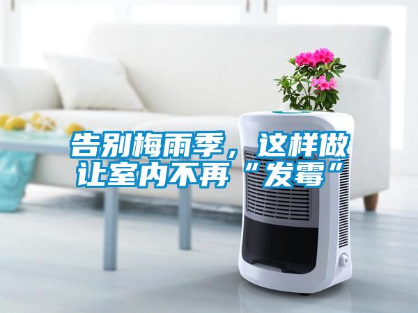 告别梅雨季，这样做让室内不再“发霉”