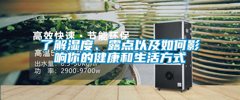 了解湿度、露点以及如何影响你的健康和生活方式