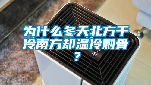为什么冬天北方干冷南方却湿冷刺骨？
