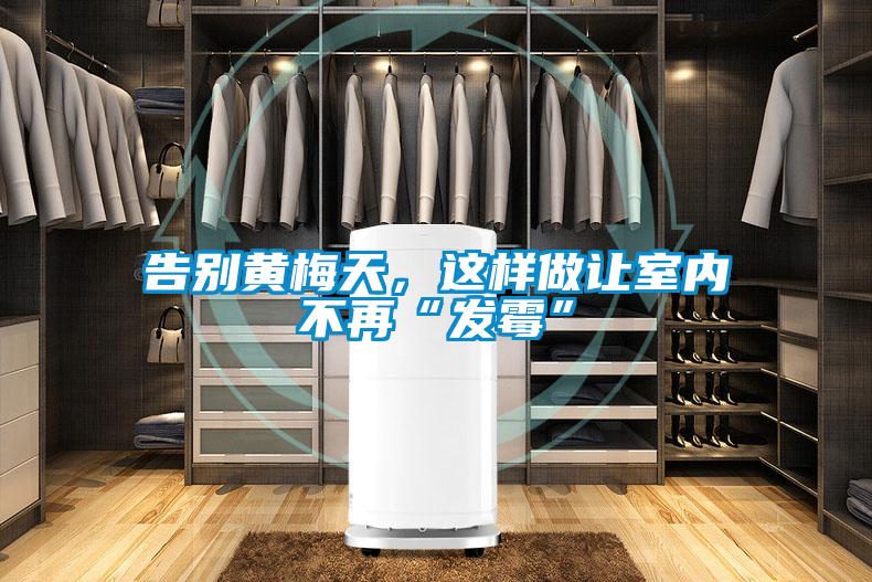 告别黄梅天，这样做让室内不再“发霉”