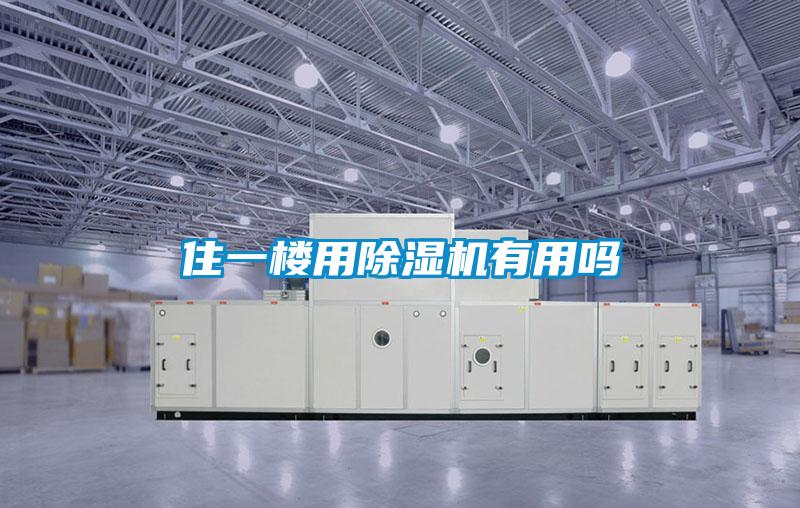 住一楼用麻豆视频黄网站有用吗