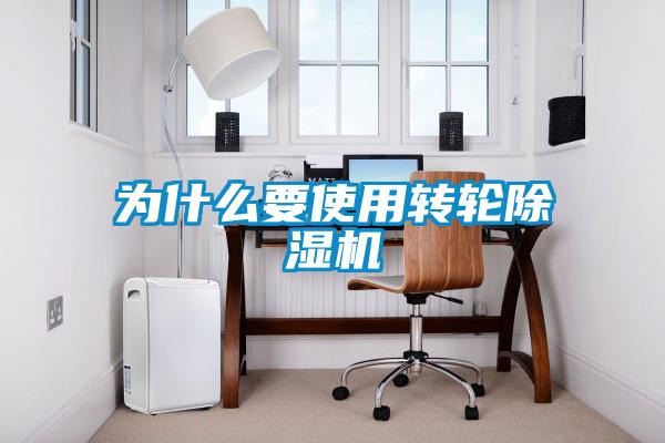 为什么要使用转轮麻豆视频黄网站