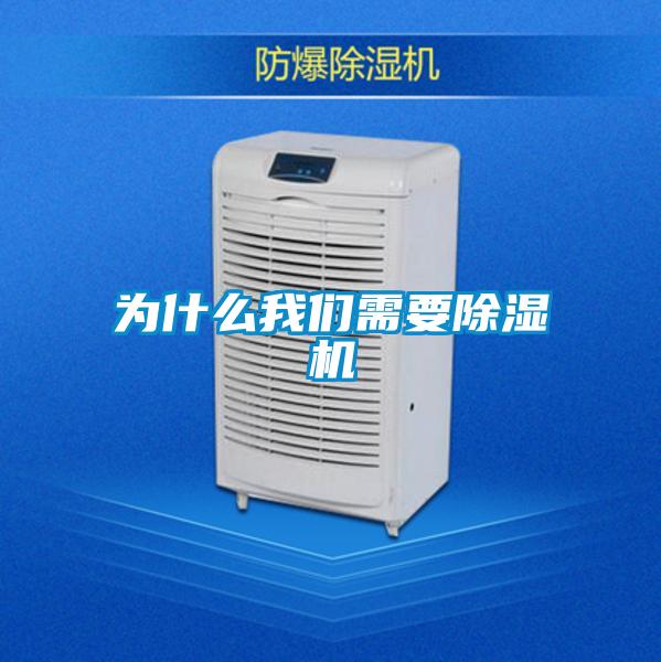 为什么麻豆APP官网需要麻豆视频黄网站