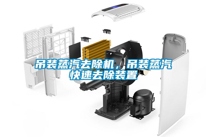 吊装蒸汽去除机，吊装蒸汽快速去除装置
