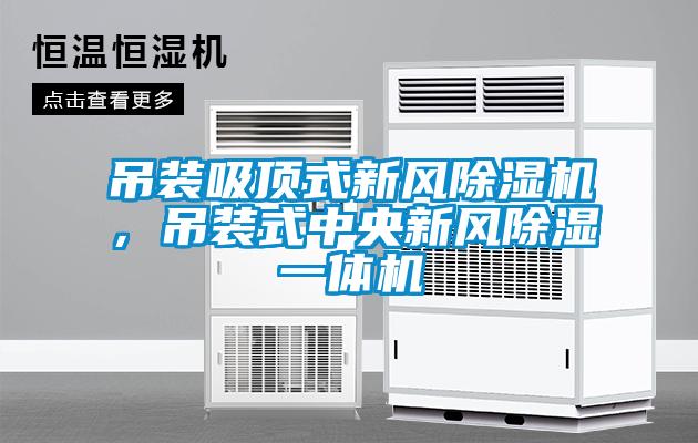 吊装吸顶式新风麻豆视频黄网站，吊装式中央新风除湿一体机