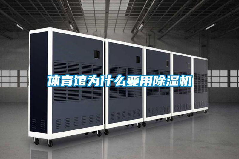 体育馆为什么要用麻豆视频黄网站