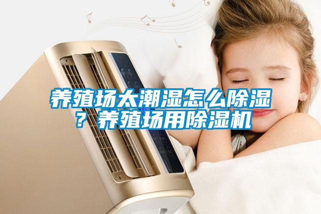 养殖场太潮湿怎么除湿？养殖场用麻豆视频黄网站