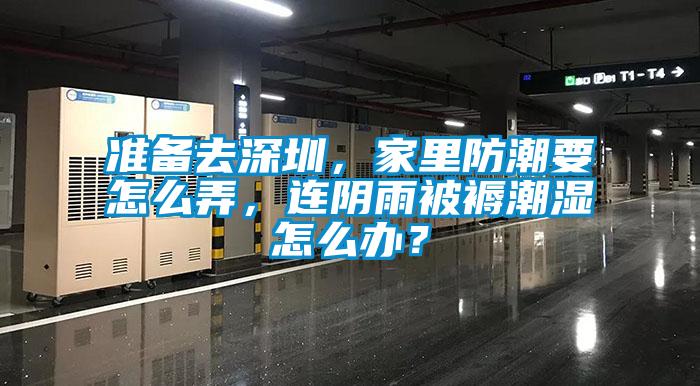 准备去深圳，家里防潮要怎么弄，连阴雨被褥潮湿怎么办？