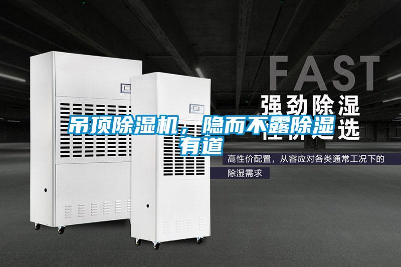 吊顶麻豆视频黄网站，隐而不露除湿有道