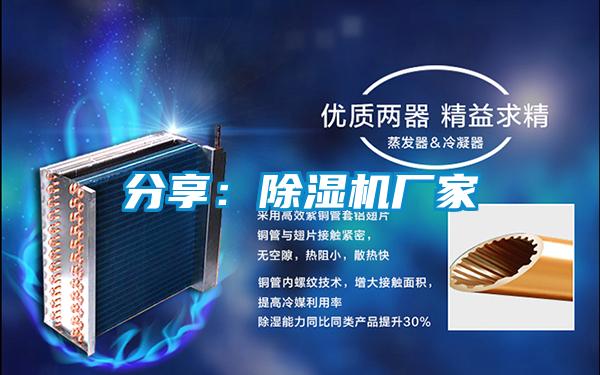 分享：麻豆视频黄网站厂家