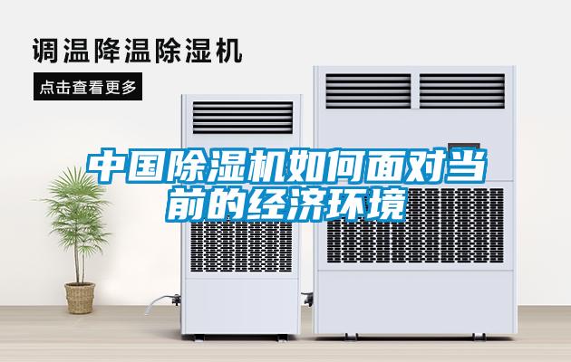 中国麻豆视频黄网站如何面对当前的经济环境