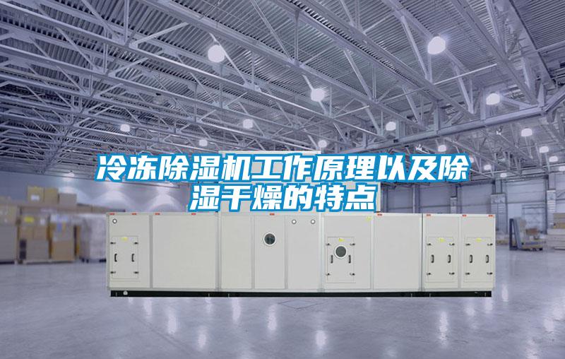 冷冻麻豆视频黄网站工作原理以及除湿干燥的特点