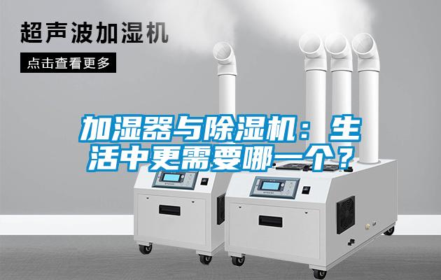 加湿器与麻豆视频黄网站：生活中更需要哪一个？